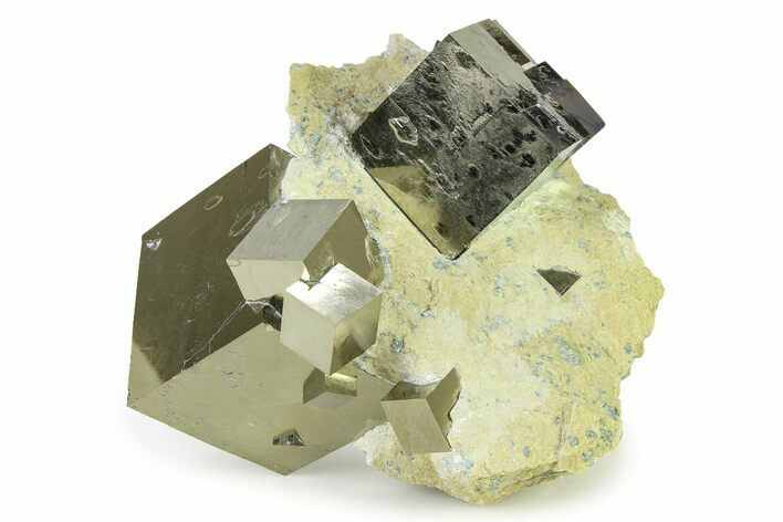 Five Natural Pyrite Cubes In Matrix - Spain #325096